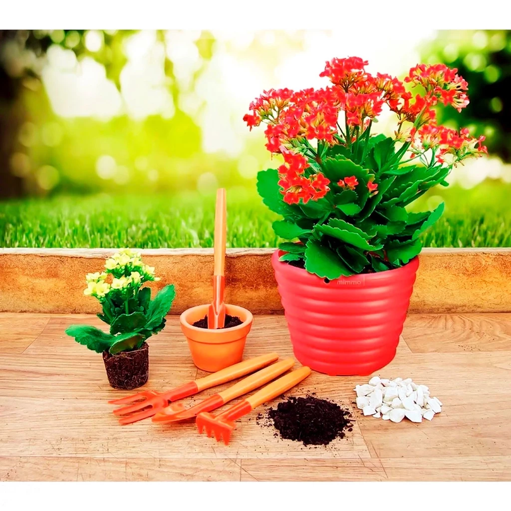 Kit de Ferramentas para Jardinagem em Metal com Cabo de Madeira - GreenTools™ - Conjunto de 4 a 5 Peças para Jardim